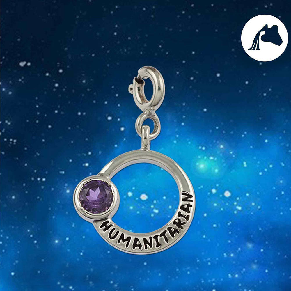 Humanitarian Aquarius Zodiac Silver Charm with Amethyst