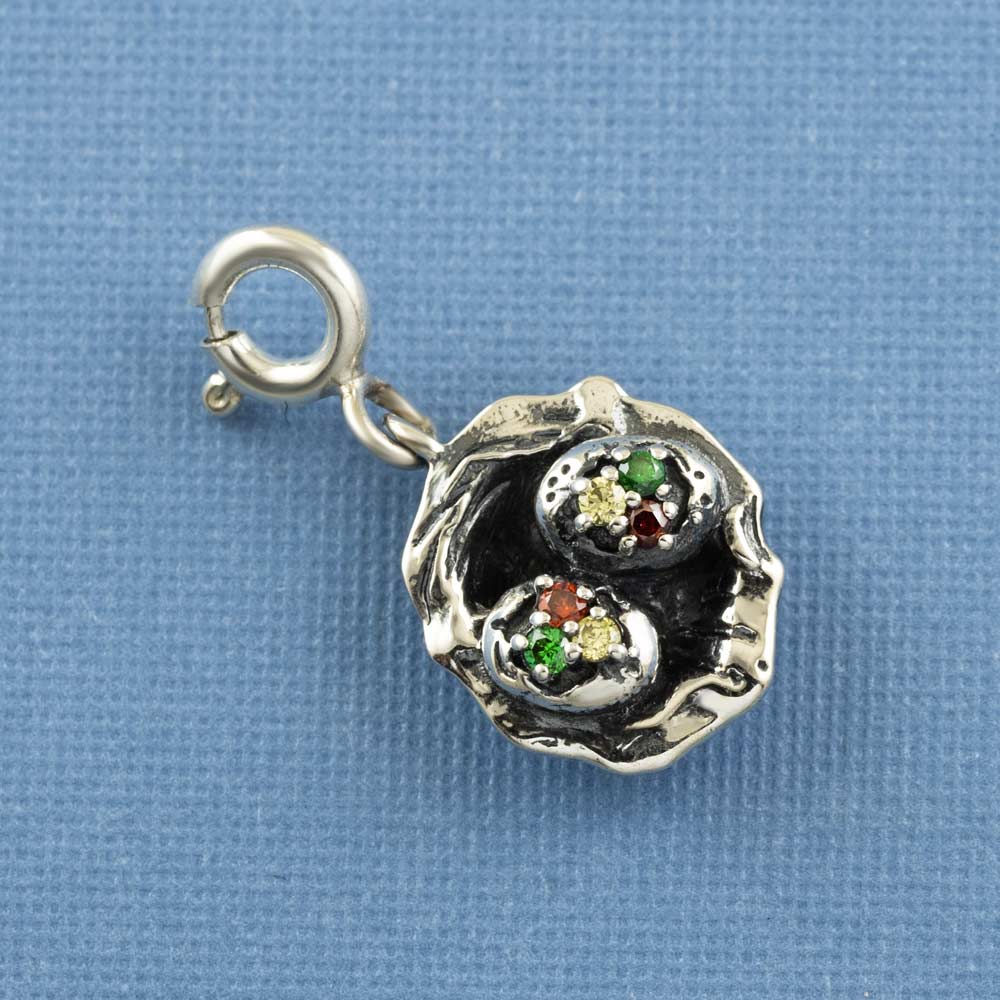 Pani Puri Silver Charm