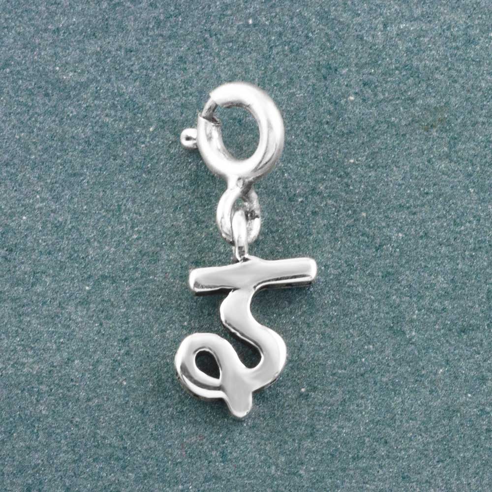 Choose Your Hindi Alphabet Silver Charm