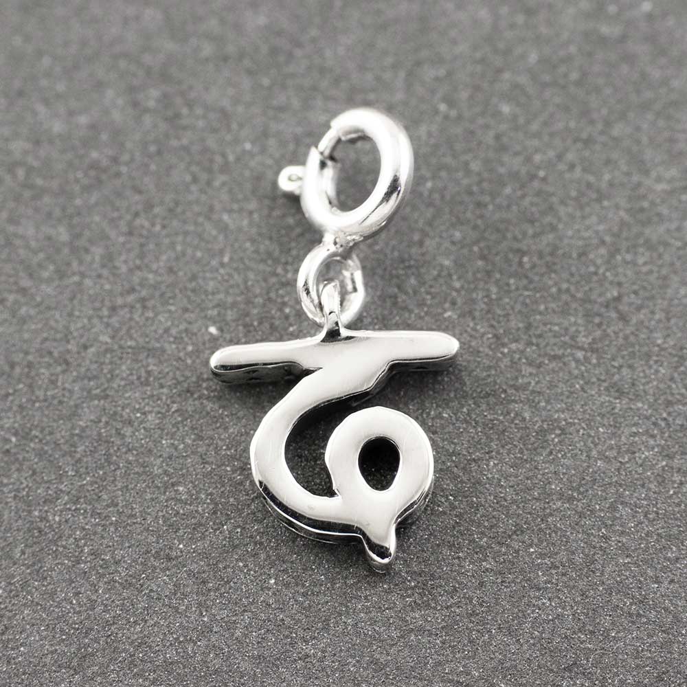 Choose Your Hindi Alphabet Silver Charm