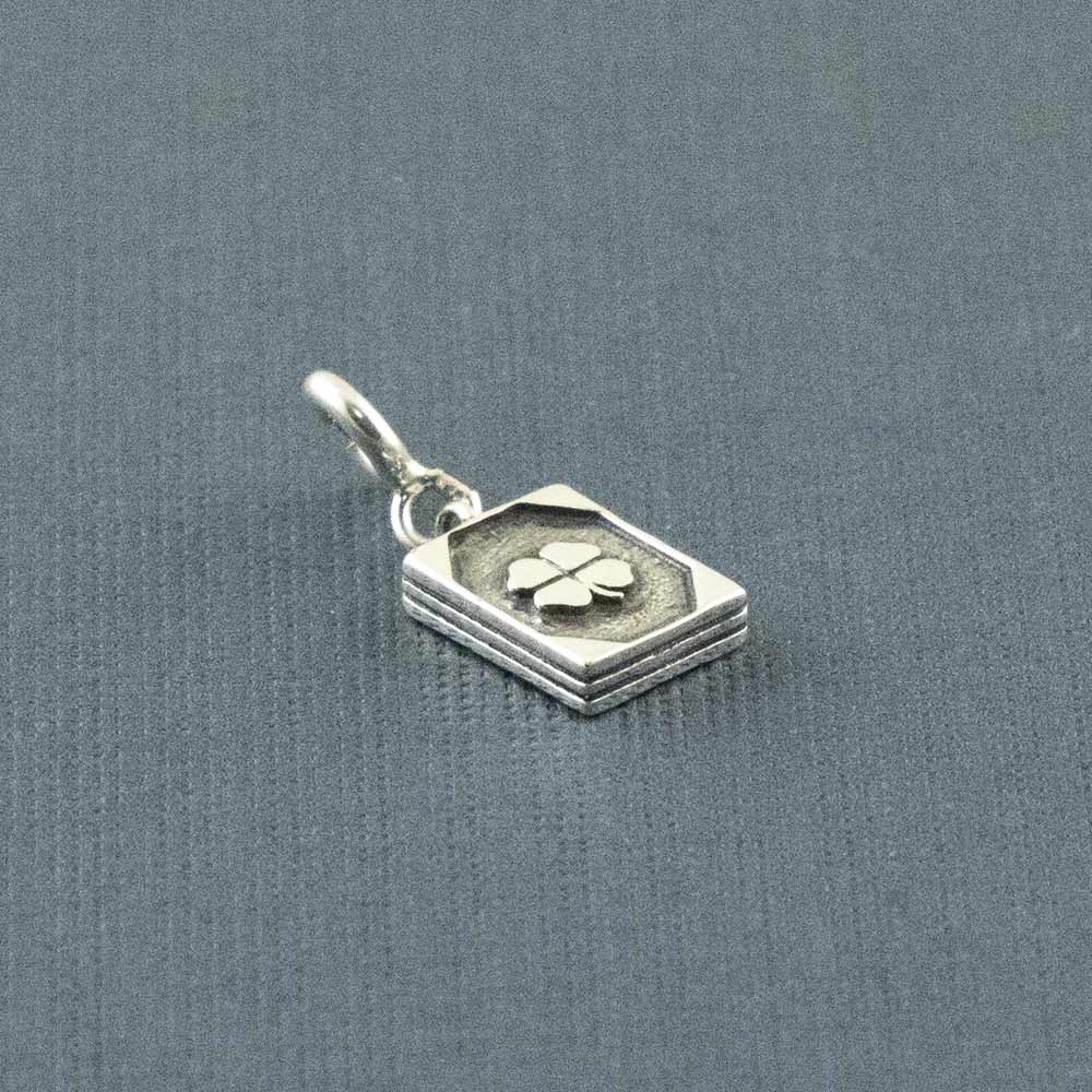 Luck and Protection Book Silver Charm