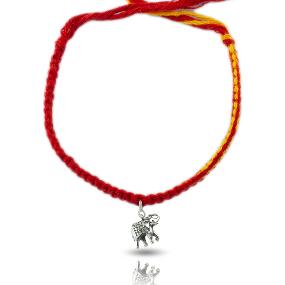 Royal Elephant Silver Charm Moli Rakhi Bracelet