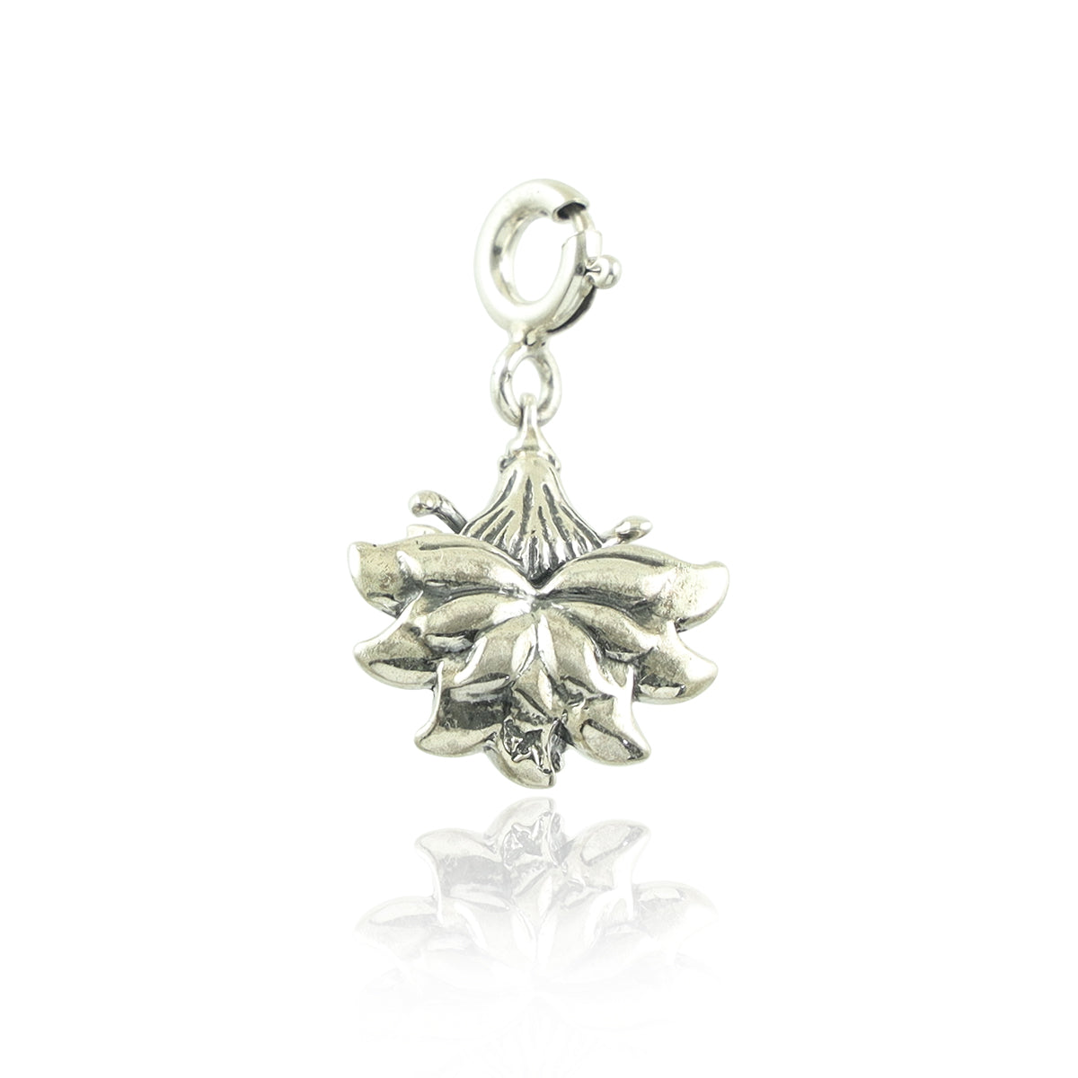 Saraswati Aashirwaad Silver Charm